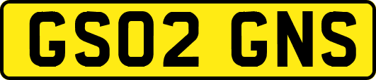 GS02GNS