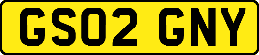 GS02GNY