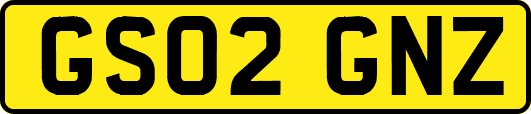 GS02GNZ