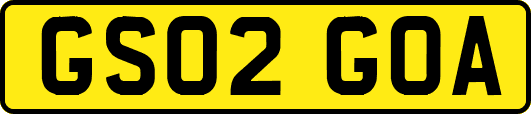 GS02GOA