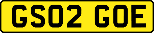 GS02GOE