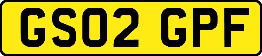 GS02GPF