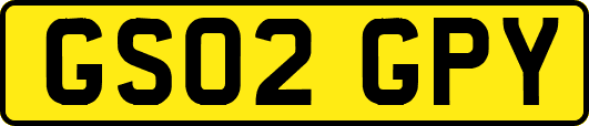 GS02GPY