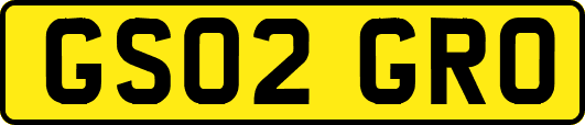 GS02GRO