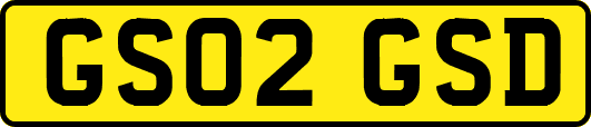GS02GSD