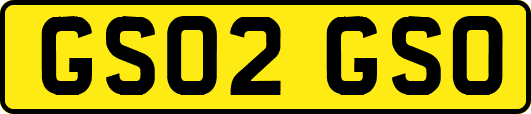 GS02GSO