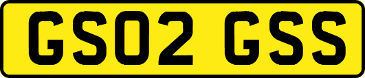 GS02GSS
