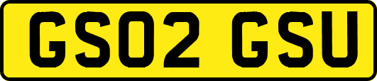 GS02GSU