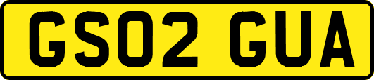 GS02GUA