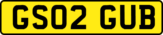 GS02GUB