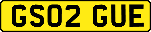 GS02GUE