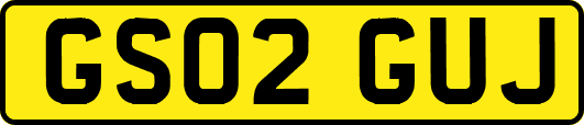 GS02GUJ