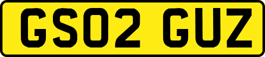 GS02GUZ