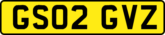 GS02GVZ