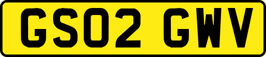 GS02GWV