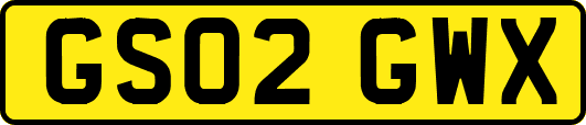 GS02GWX