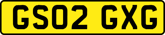 GS02GXG