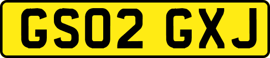 GS02GXJ