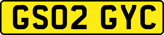 GS02GYC