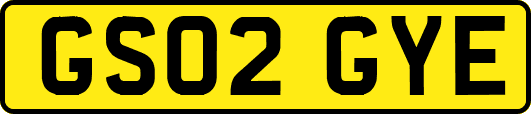 GS02GYE
