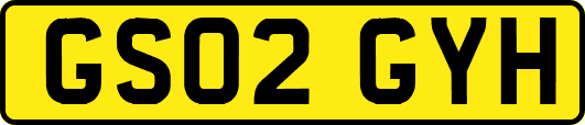GS02GYH