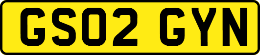 GS02GYN