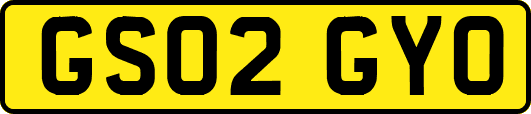 GS02GYO