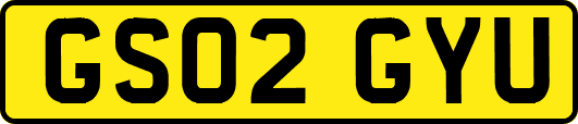 GS02GYU
