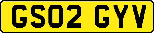 GS02GYV