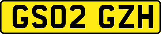 GS02GZH