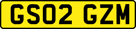 GS02GZM