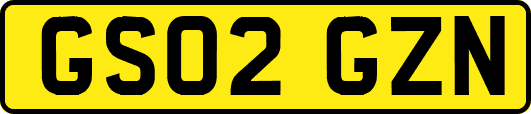 GS02GZN