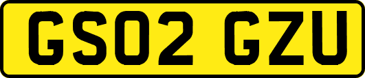 GS02GZU
