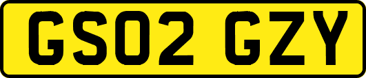 GS02GZY