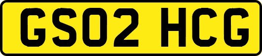 GS02HCG