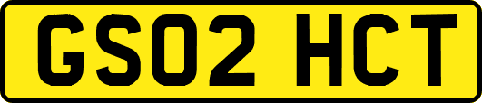 GS02HCT