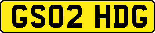 GS02HDG