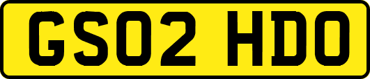 GS02HDO