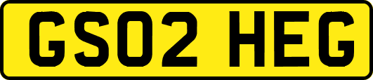 GS02HEG