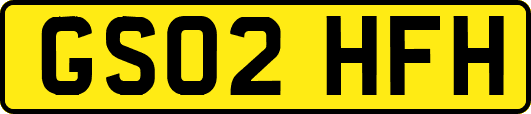 GS02HFH