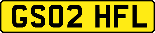 GS02HFL