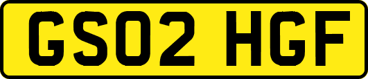 GS02HGF