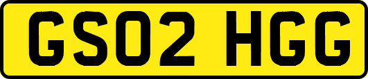 GS02HGG