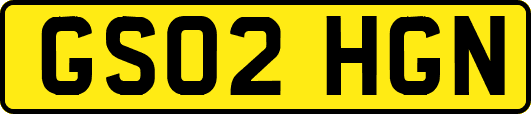 GS02HGN