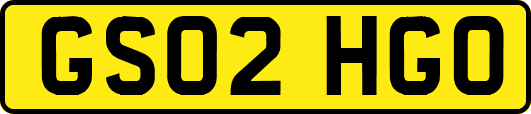 GS02HGO