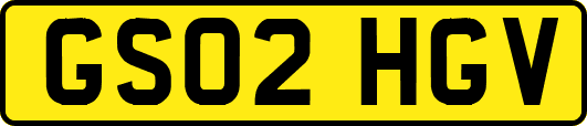 GS02HGV