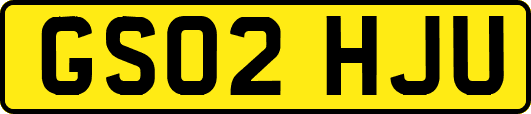 GS02HJU