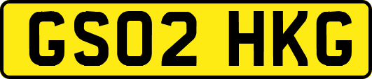 GS02HKG