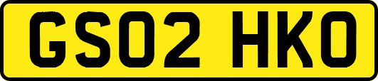 GS02HKO