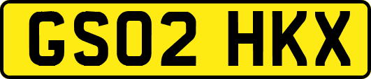 GS02HKX